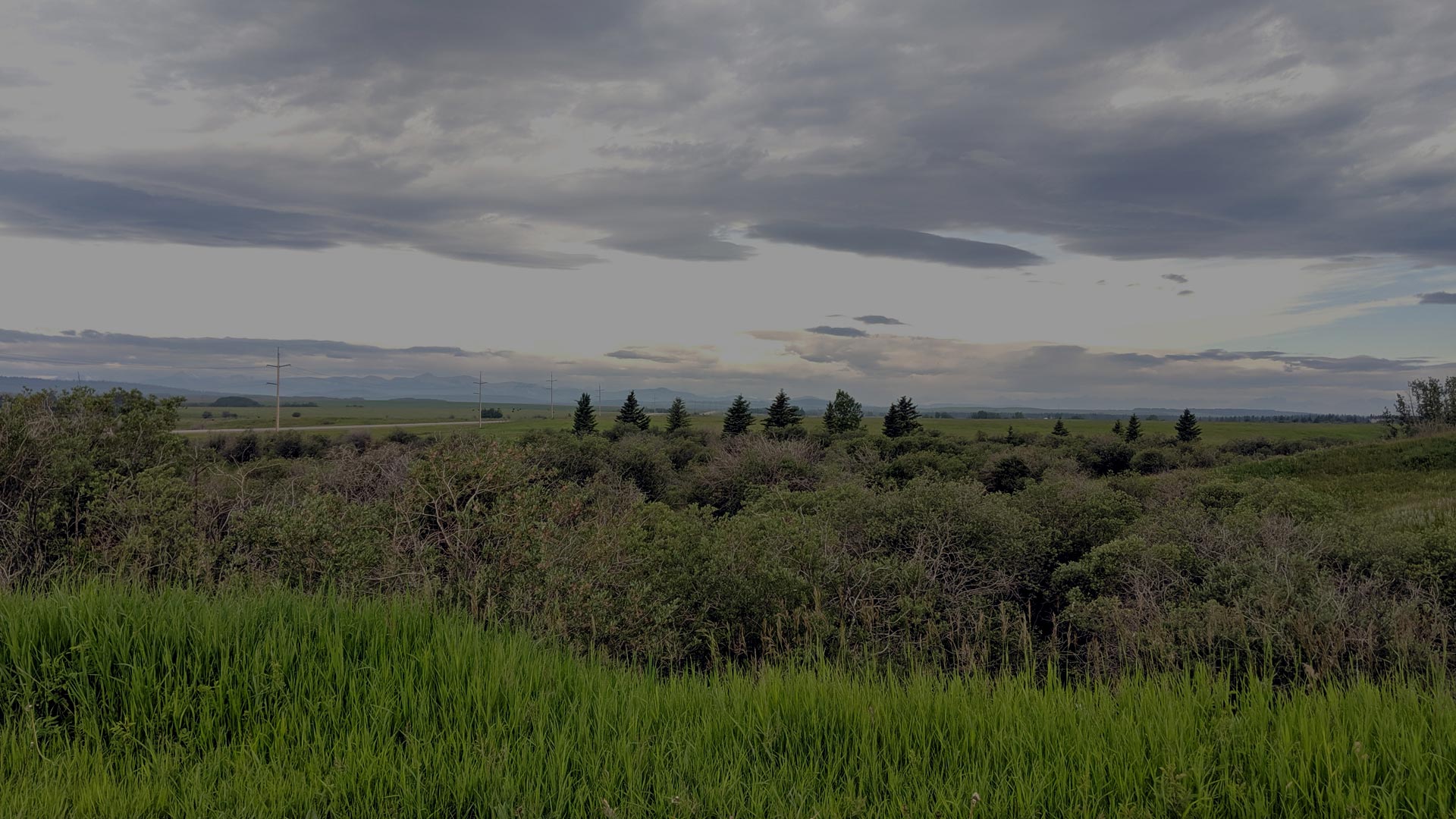Gardner Lands